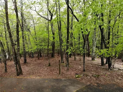 0 Tee Ct, Jasper, GA 30143 photo 4