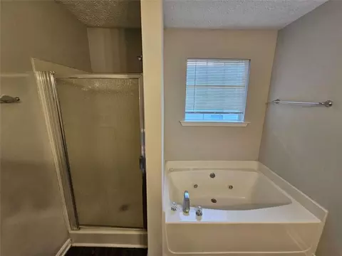 Bath - 333 Fallview Dr, Mcdonough, GA 30253 photo 4 of 4