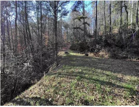 0 Maple Rest Ln, Ellijay, GA 30540