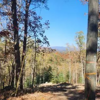 977 Raccoon Rdg NE, Ranger, GA 30734