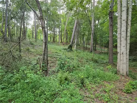 384 Tippens Rd, Canton, GA 30114