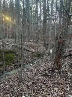 00 River Ridge Trl, Sparta, GA 31087