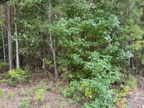 9 Old Ridgeway Road, Bremen, GA 30110