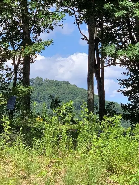 2046 Amy Creek Cir, Ellijay, GA 30540