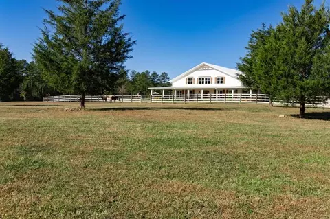 Exterior - 125 Perry Rd, Rydal, GA 30171 photo 35 of 36