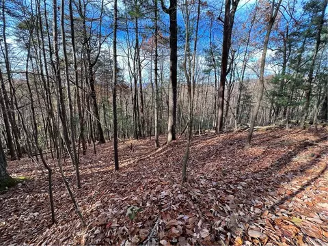 J214 Walnut Mountain Road, Ellijay, GA 30536