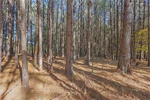 76 Paul Smith Rd, Covington, GA 30014 photo 8