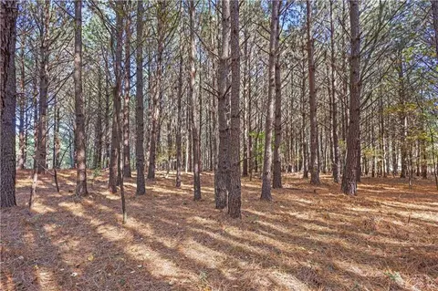 76 Paul Smith Rd, Covington, GA 30014 photo 9