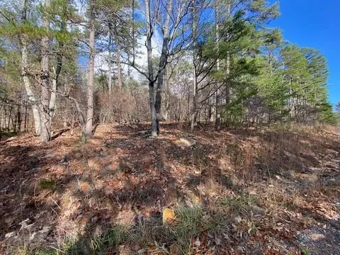 0 Quail Way, Jasper, GA 30143 photo 8