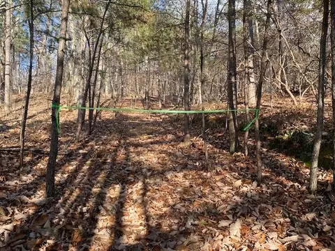 0 Quail Way, Jasper, GA 30143 photo 5