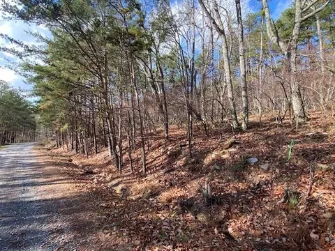 0 Quail Way, Jasper, GA 30143 photo 9
