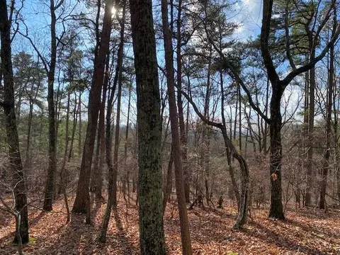 0 Quail Way, Jasper, GA 30143 photo 2