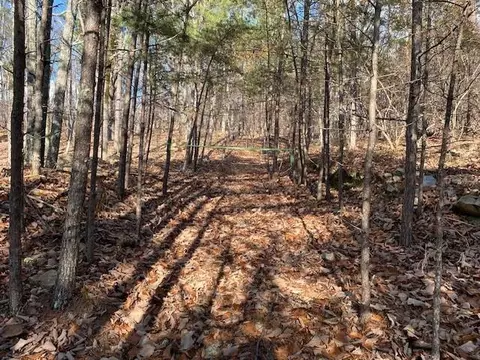 0 Quail Way, Jasper, GA 30143 photo 6
