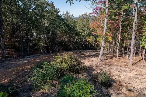 34 E Heritage Dr NE, Rydal, GA 30171 photo 27