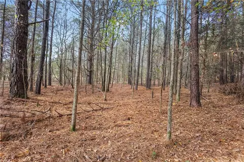 63 Paul Smith Rd, Covington, GA 30014 photo 10