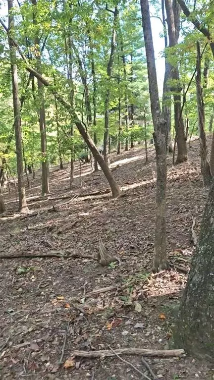 315 Windflower Dr, Big Canoe, GA 30534