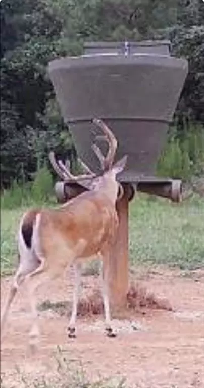 0 Ga Hwy 72, Comer, GA 30629 photo 7