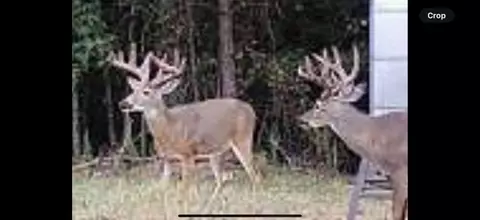 0 Ga Hwy 72, Comer, GA 30629 photo 5