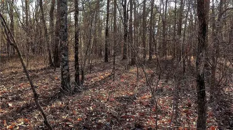 0 S Maple Dr, Jasper, GA 30143 photo 21
