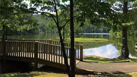 0 S Maple Dr, Jasper, GA 30143 photo 7
