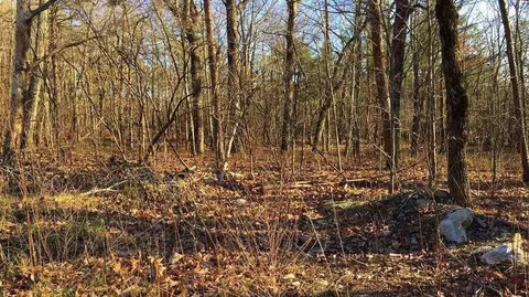 0 S Maple Dr, Jasper, GA 30143 photo 19