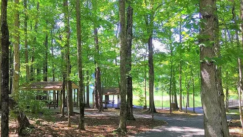 0 S Maple Dr, Jasper, GA 30143 photo 9