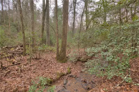 2152 Royal Fern Trl, Big Canoe, GA 30143