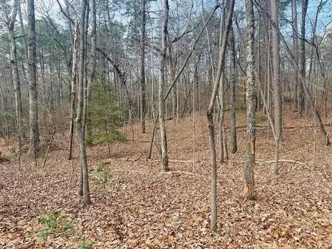 lot28 Fern Park Dr, Dawsonville, GA 30534