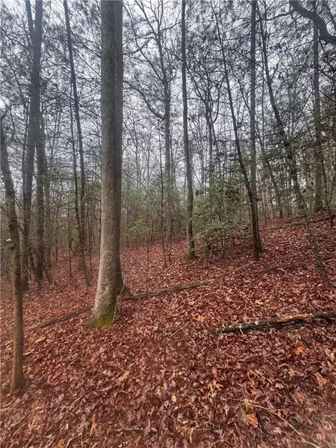 0 W Mountaintown Trl, Ellijay, GA 30540