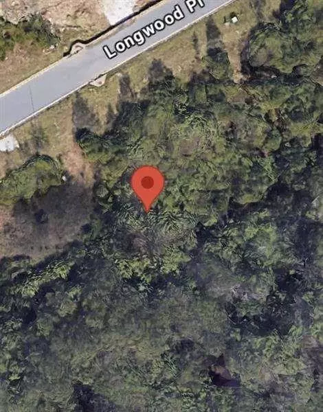 439 Longwood Pl, Dallas, GA 30132