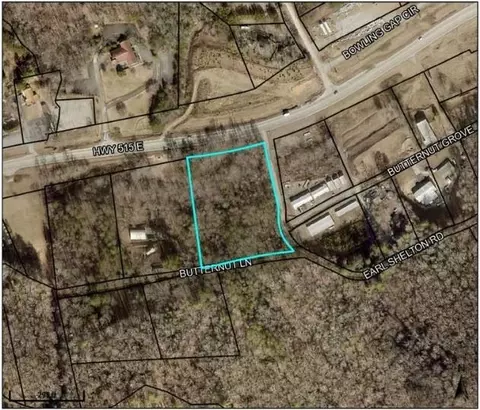 0 Butternut Ln, Blairsville, GA 30512