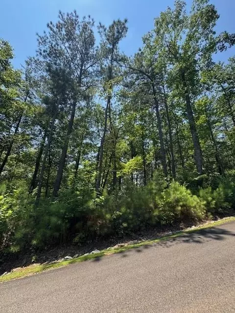 0 Carters Vw, Ellijay, GA 30540