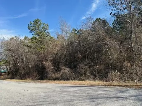 0 Pollard Rd, Temple, GA 30179 photo 3