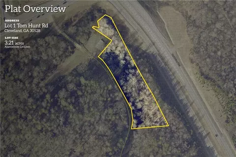 0 Tom Hunt Rd, Cleveland, GA 30528