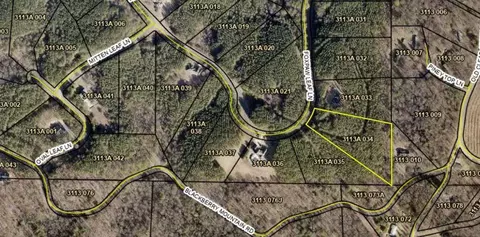 0 Fox Paw Leaf Ln, Ellijay, GA 30540
