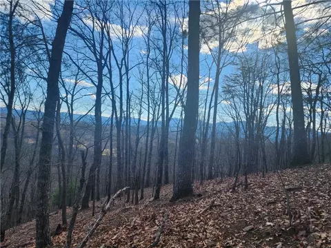 000 Trackrock Gap Rd, Blairsville, GA 30514