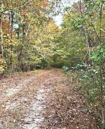 0 Fruit Farm Rd, Summerville, GA 30747