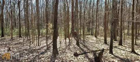 3195 Davis Academy Rd, Rutledge, GA 30663