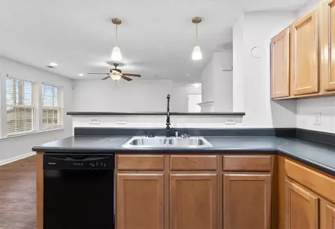 307 Meadows Ln, Canton, GA 30114 photo 10