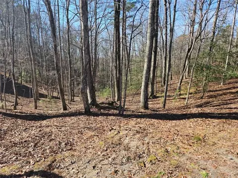 Lt1405 Malory Circle, Ellijay, GA 30540