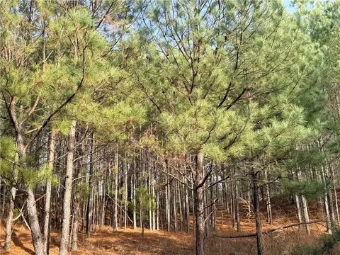 1573 Norris Lake Way, Snellville, GA 30039
