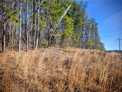 tbd Cowart Mountain Tract 3 Rd, Jasper, GA 30143