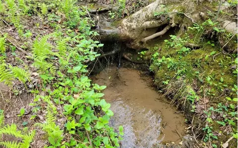 lot27 Oak Rdg, Ellijay, GA 30536