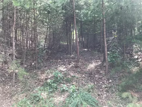 278 Vista View Pkwy, Jasper, GA 30143 photo 5