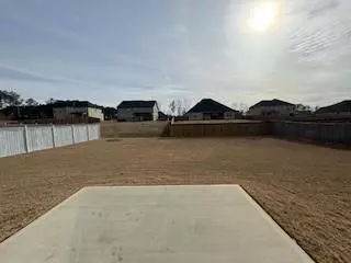309 Amsterdam Way, Hampton, GA 30228 photo 13