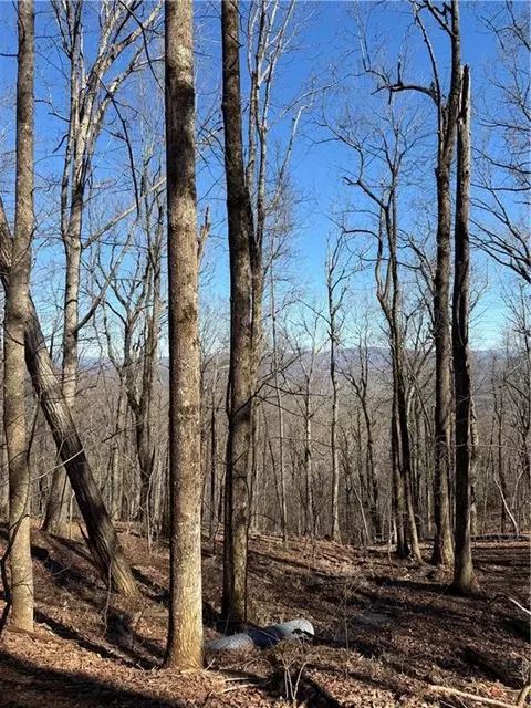 240 N Sanderlin Mtn Dr, Jasper, GA 30143
