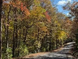 lot9 Peter Knob Rd, Blue Ridge, GA 30513