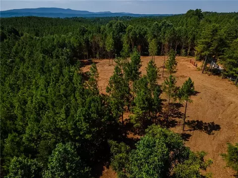 1 Young Loop, Fairmount, GA 30139