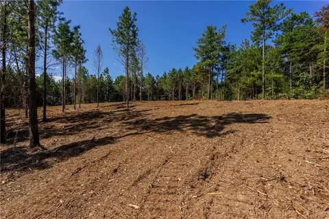 1 Young Loop, Fairmount, GA 30139 photo 3