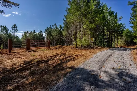 1 Young Loop, Fairmount, GA 30139 photo 4